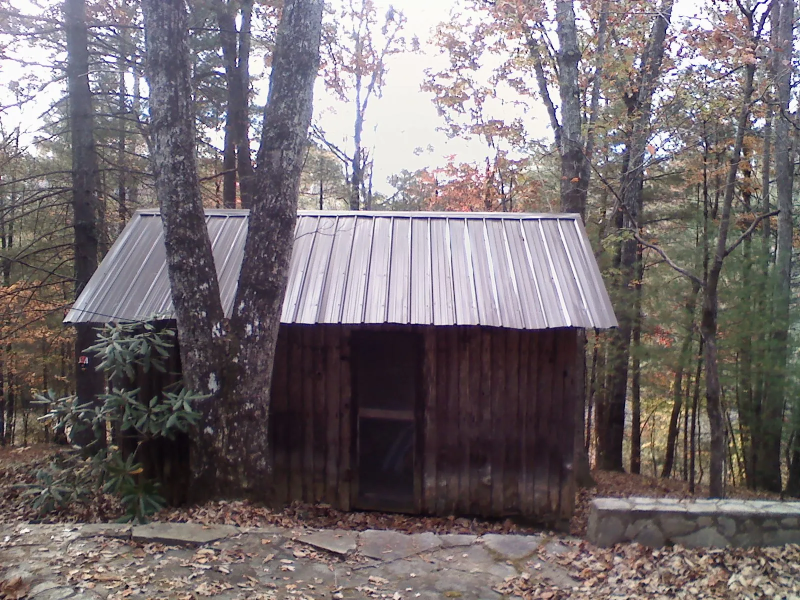 New metal gable roof on a small log shed among the trees in Buxton